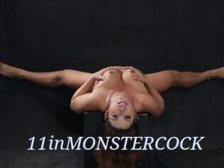 11inMONSTERCOCK