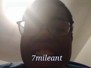 7mileant