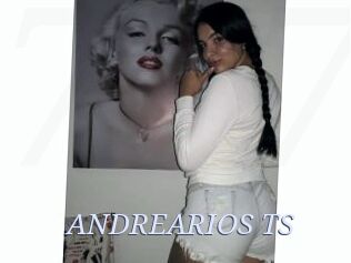 ANDREARIOS_TS