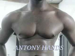 ANTONY_HANDS