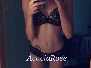 AcaciaRose