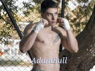 AdamBull