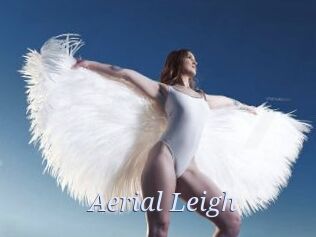 Aerial_Leigh