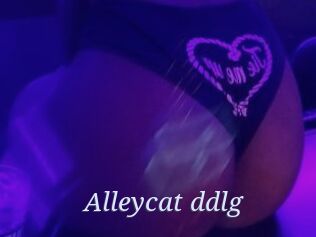 Alleycat_ddlg