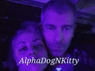 AlphaDogNKitty