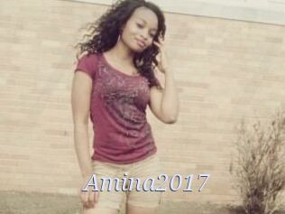 Amina2017