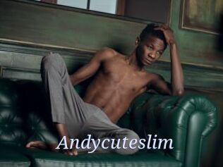 Andycuteslim