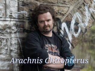 Arachnis_Chiropterus