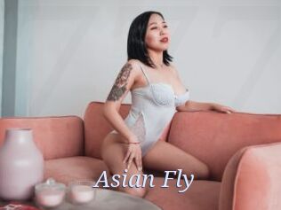 Asian_Fly