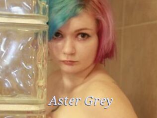 Aster_Grey