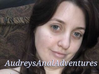 AudreysAnalAdventures