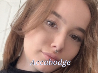 Accabodge