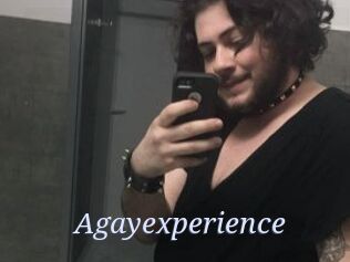 Agayexperience