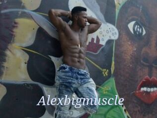 Alexbigmuscle