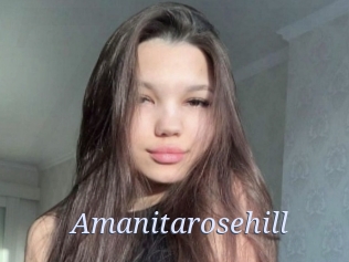 Amanitarosehill