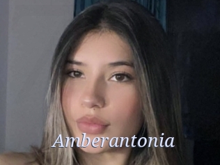 Amberantonia