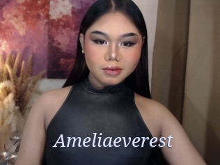 Ameliaeverest