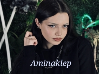 Aminaklep