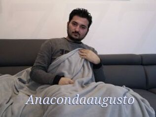 Anacondaaugusto