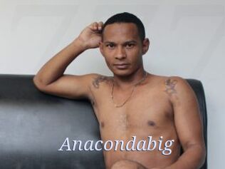 Anacondabig