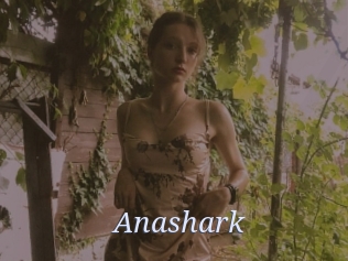 Anashark