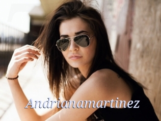 Andrianamartinez