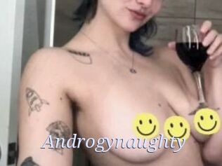 Androgynaughty