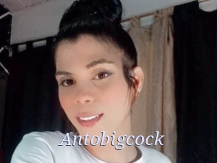 Antobigcock