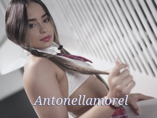 Antonellamorel