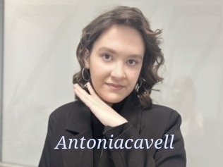 Antoniacavell