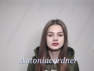 Antoniacordner