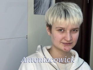 Antoniacowick