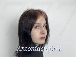 Antoniacrofoot