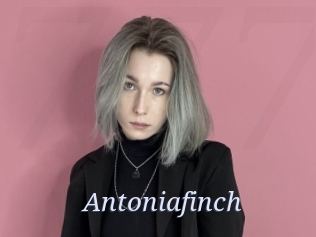 Antoniafinch