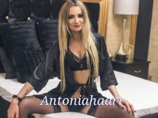 Antoniahaart