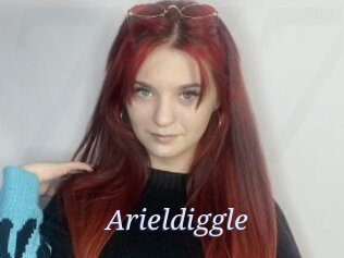 Arieldiggle