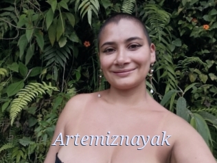 Artemiznayak