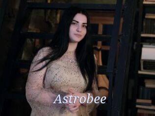 Astrobee