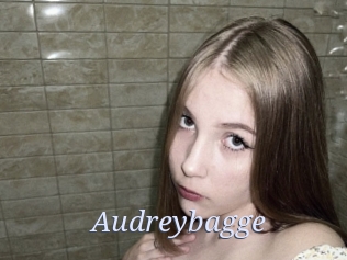 Audreybagge