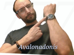 Avalonadonis