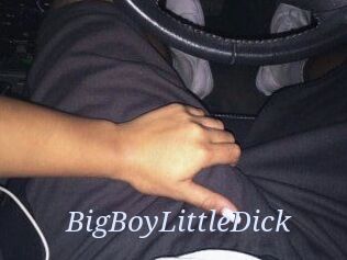 BigBoyLittleDick