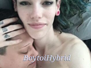 BoytoiHybrid