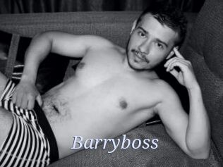 Barryboss