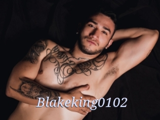 Blakeking0102