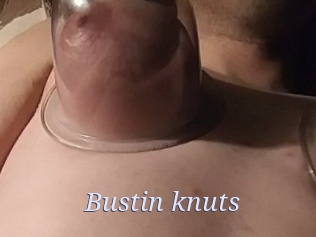 Bustin_knuts