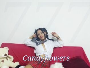 Candyflowers