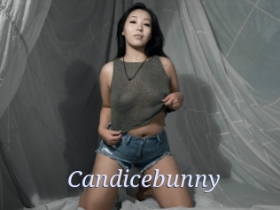 Candicebunny