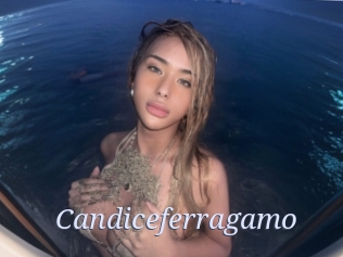 Candiceferragamo