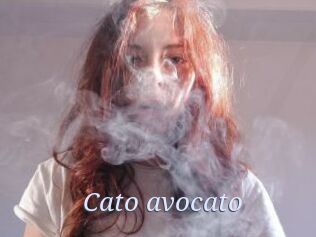 Cato_avocato