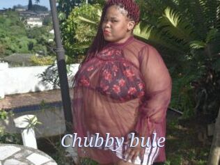 Chubby_bule